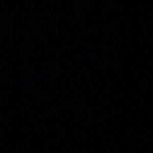 Meet your Posher, Bennett